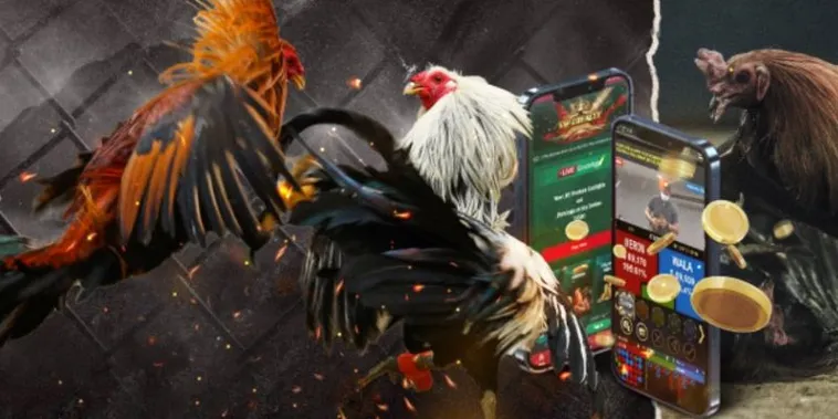 Trải Nghiệm Đá Gà GA28 Tại CWin Đặt Cược Thông Minh Thắng Lớn Mỗi Ngày 2 Trải Nghiệm Đá Gà GA28 Tại CWin Đặt Cược Thông Minh Thắng Lớn Mỗi Ngày