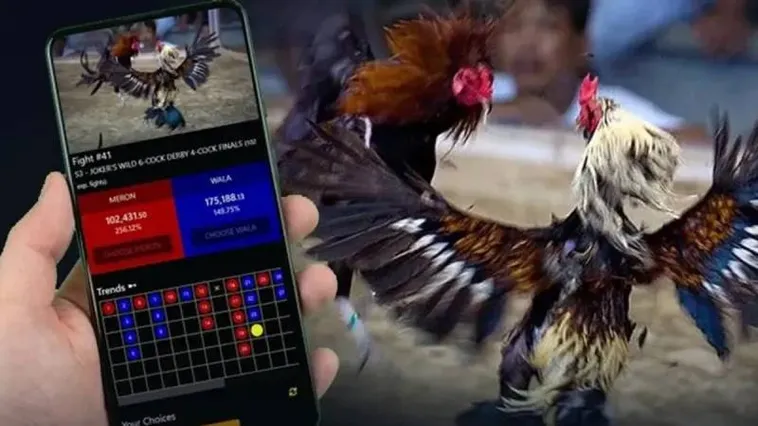 Đá Gà CWin Trực Tiếp Đỉnh Cao Khám Phá Ngay Đấu Trường Bất Tận