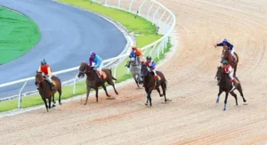 Khám Phá Cá Cược Đua Ngựa CWin Bí Quyết Thắng Lớn Mỗi Ngày